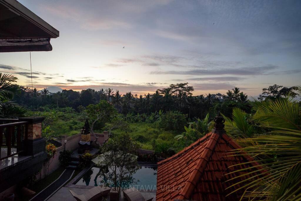 Beautiful 3 Bedroom Jungle View Ubud Exterior foto